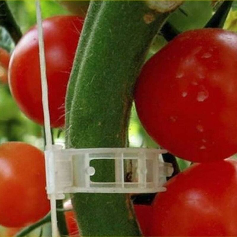 100 pcs Garden Plant Clips, Plant Ties, Vine Twine, Trellis, Vegetable Vine Cages, Grafting Tools For Growing