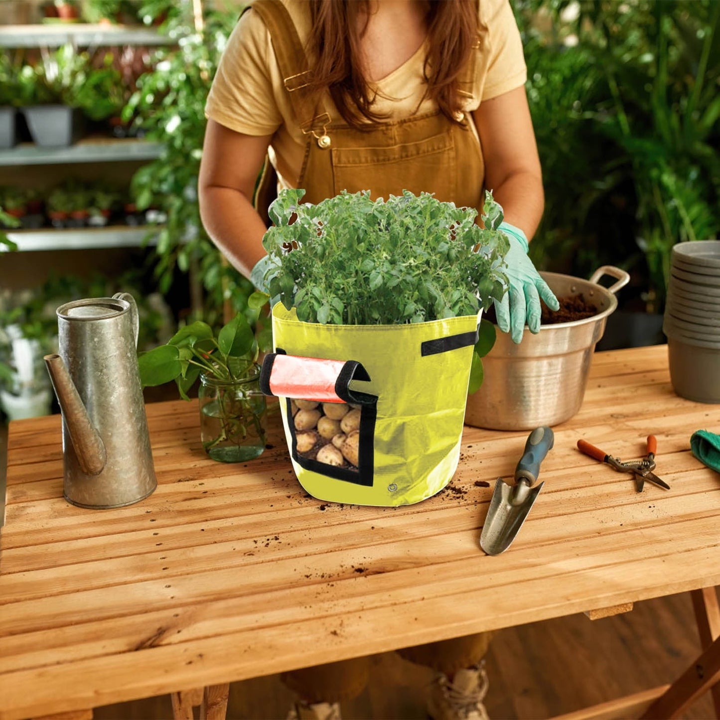 Suncoda Summer Savings 34x35cm Potato Grow Bag with Side Window & Handles 12" x 14" Black#2.