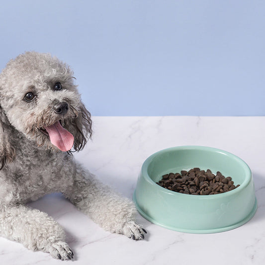 Plastic Dog Bowl,Non Slip Candy Color Plastic Pet Food Bowl,Shallow Cat Food Dish ,Reusable Pet Food And Water Bowl,Puppy Cat Animal Feeding Bowls ,Pet Food Container Storage Easy To Clean,Pink 8.27" x 2.28" x 7.09" Green