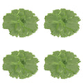 4 Pcs Flower Placemat,3D Flower Placemats,Flower Shape Placemat,Heat-Resistant And Washable Placemat for Dining Table,Tablemats Kitchen Table Setting Decorative for Wedding Holiday Dining Table,Red Green