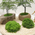 diy artificial moss lawn-Dark Green Filamentous Moss 200g