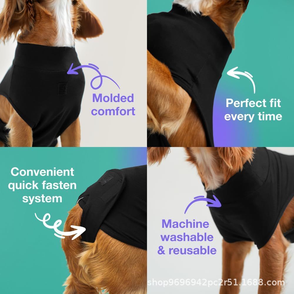 Pet physiological pants-XL