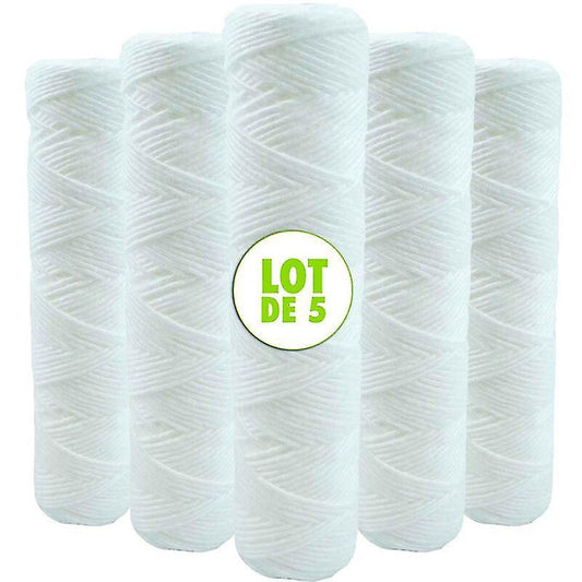 Set of 5 Spiral Water Filter Cartridges Anti-Sediment 10 Inch 254 mm - Compatible with 10 Inch Filters Made in France 5 Microns.