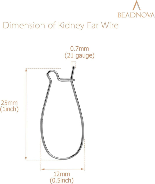 Ear Wire Hooks 60pcs Stainless Steel Kidney Earring Hook Wire Ear Findings for Earring Making Jewelry Making Earwire DIY (25mm, 60pcs)