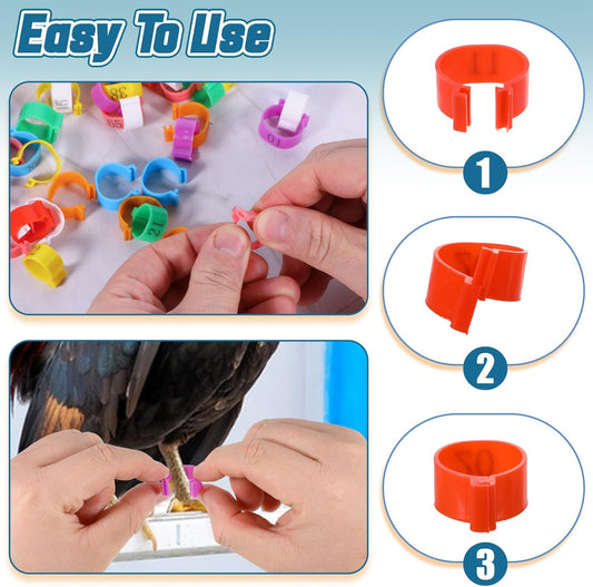 80 Pcs Chicken Leg Bands, 16mm Chicken Leg Bands with 8 Colors, Colorful 01-80 Numbered Chicken Identification Leg Bands Duck Poultry Leg Tags for Chicks Ducks Bantam Guinea Pigeons Goose Gamefowl