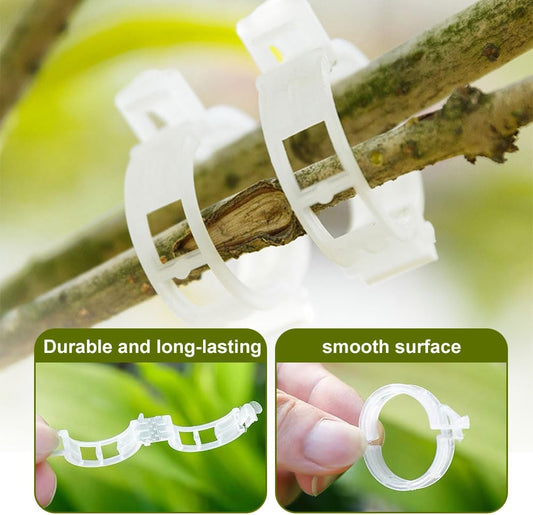2024 New Secured Plastic Plant Clip, Upgraded Plant Support Clips Reusable Garden Clips 50Pcs, Plant Support Clips Garden Climbing Vines Fixing Clip Trellis Clips Climbing Tomato Clips (50, Green)