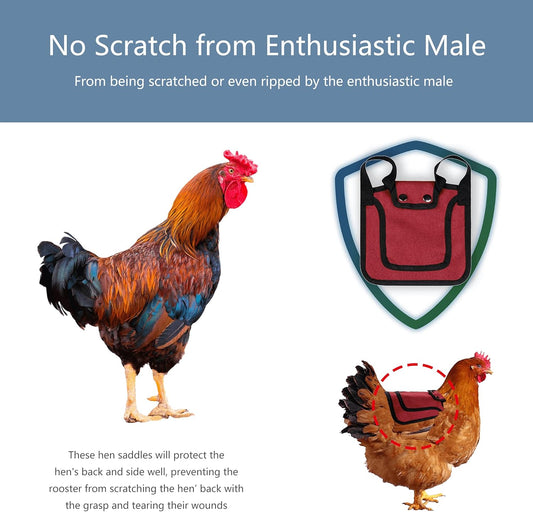 3 Piece Chicken Saddle Set Red/Blue/Purple Elastic Strap Back and Side Protection Poultry Accessories.