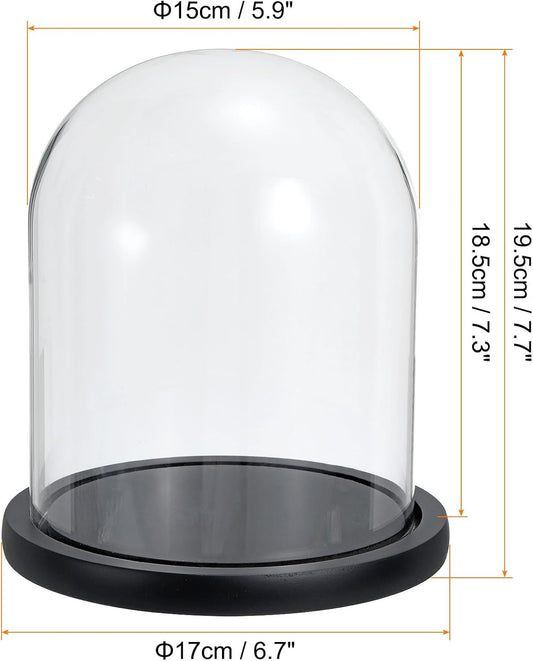 Glass Dome with Black Wooden Base - Clock Shaped Display Case - Home Decor - Desk Ornament - Christmas Decoration for Indoor Use.