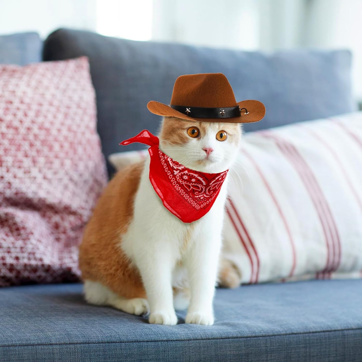 4 Pack Pet Cowboy Costume Accessories Set, 2 Pcs Hat and Bandana Scarf, Puppy Kitten Halloween Christmas Costume, West Party Cosplay Wearing for Cats Small Dogs