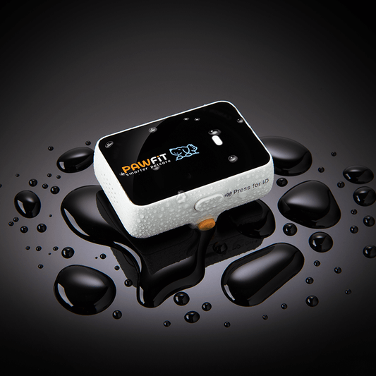 Pawfit 3 Tracker.