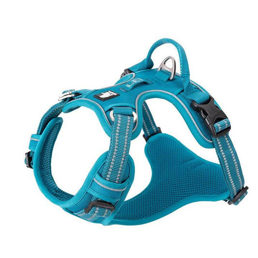 No Pull Harness Blue XS.