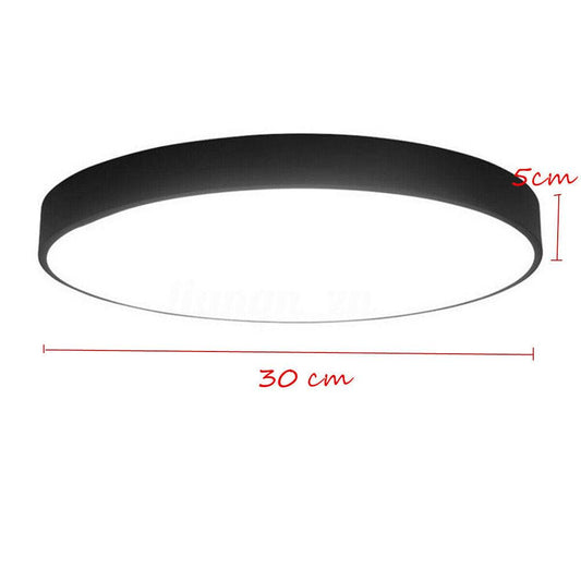 30CM LED Ceiling Light Modern Surface Mount Flush Panel Downlight Ultra-thin.