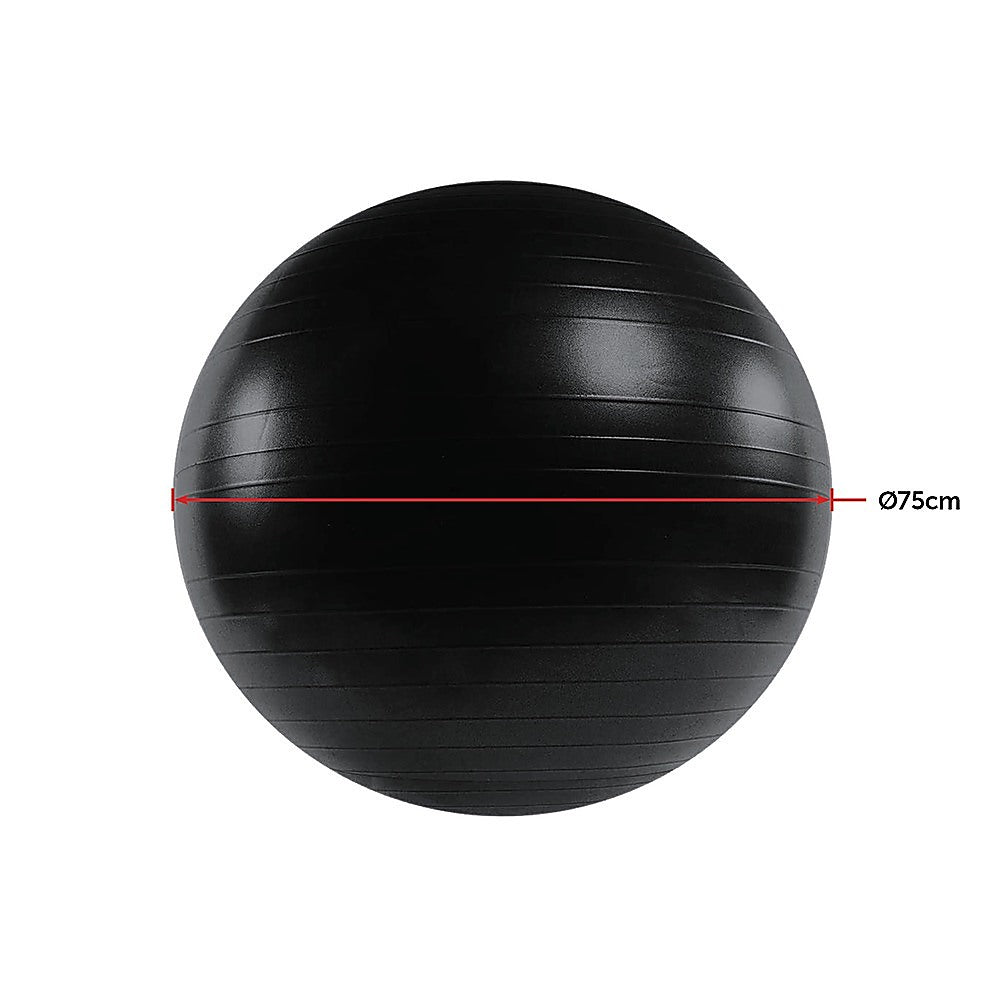 75cm Static Strength Exercise Stability Ball with Pump.