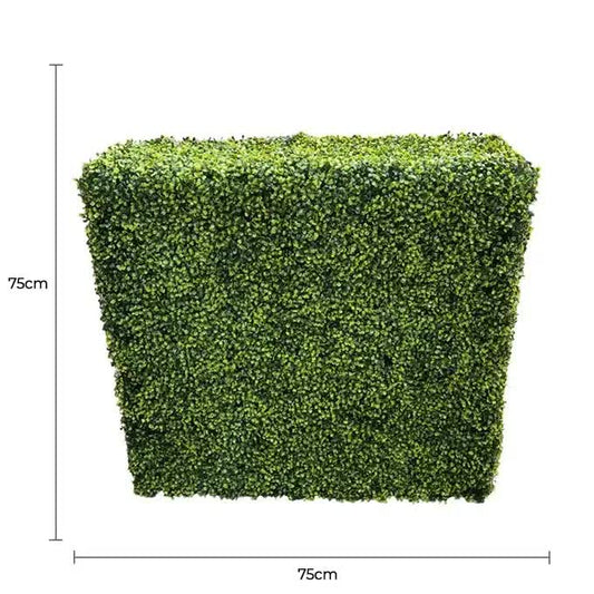 Mixed Boxwood Hedge UV Resistant 75cm Long x 75cm High.