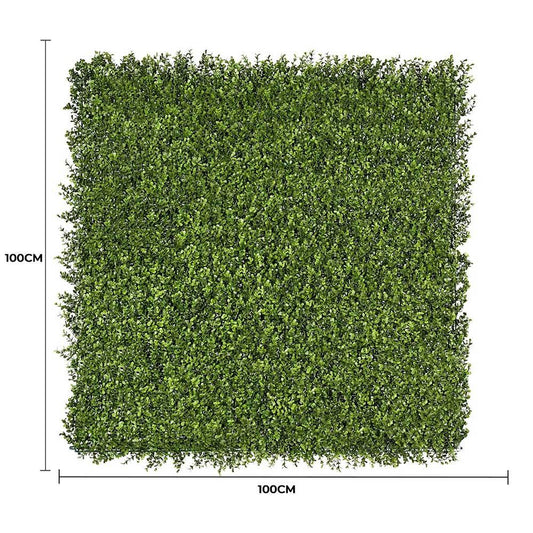 Premium Natural Buxus Hedge Panels UV Resistant 1m X 1m.