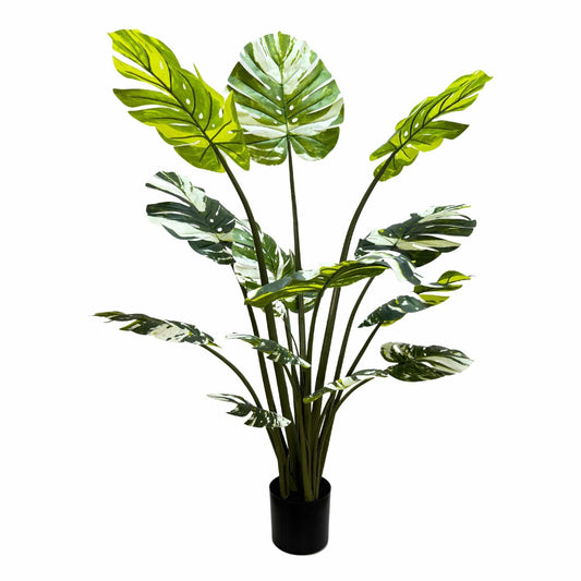 Premium Artificial Potted Monstera Albo 150cm.