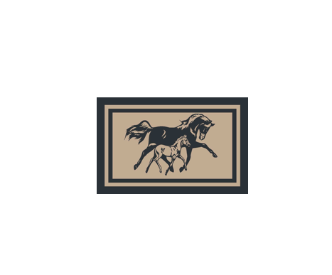 Horse 5m x 2.4m camping mat.