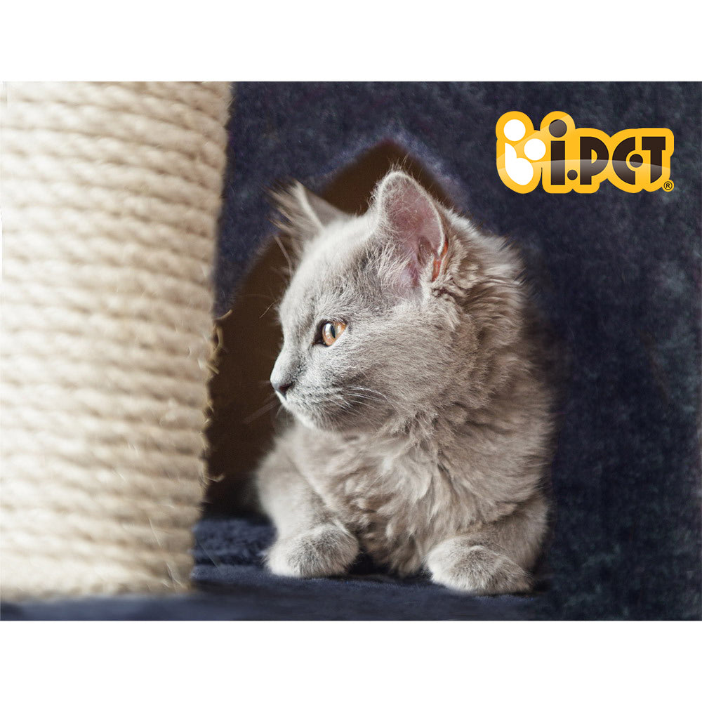 i.Pet Cat Tree 244cm Tower Scratching Post Scratcher Trees Condo House Grey.