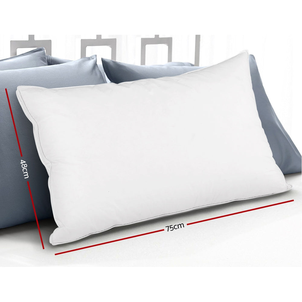 Giselle Bedding Goose Feather Down Pillow Luxury Twin Pack.