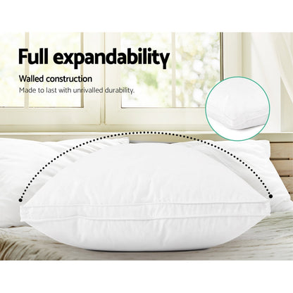 Giselle Bedding Goose Feather Down Pillow Luxury Twin Pack.