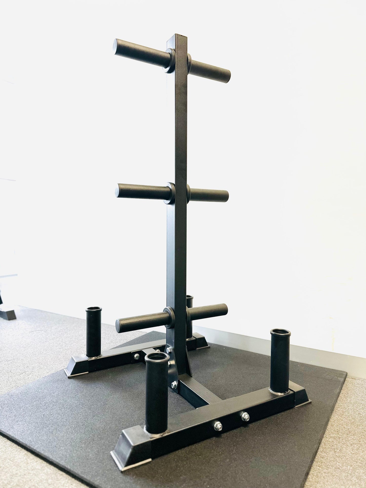 Curve Fitness Multipurpose Weight Storage Tree.