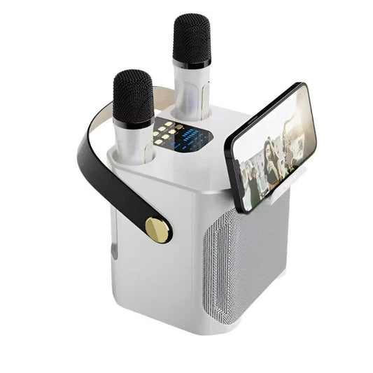High Power Karaoke Bluetooth Speaker With Dual Microphone.