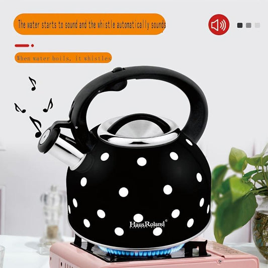 Whistling Tea Kettle Stainless Steel Stovetop (2.5L).
