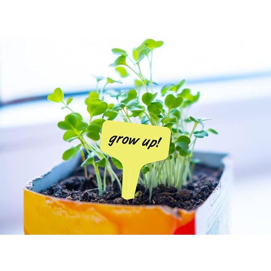100 Pieces T-Type Plastic Plant Markers And Labels, 6 10 Cm Reusable Waterproof Colorful Garden Tags (Multicolor)