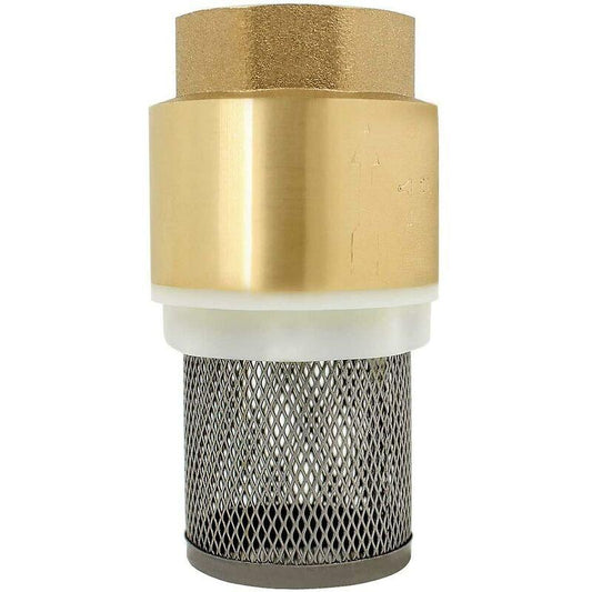 Check Valve 1/2 3/4 1-1/4 1-1/2 2-1/2 3 Inch - Non-Return Valve Pump Check Valve (3/4 Inch).
