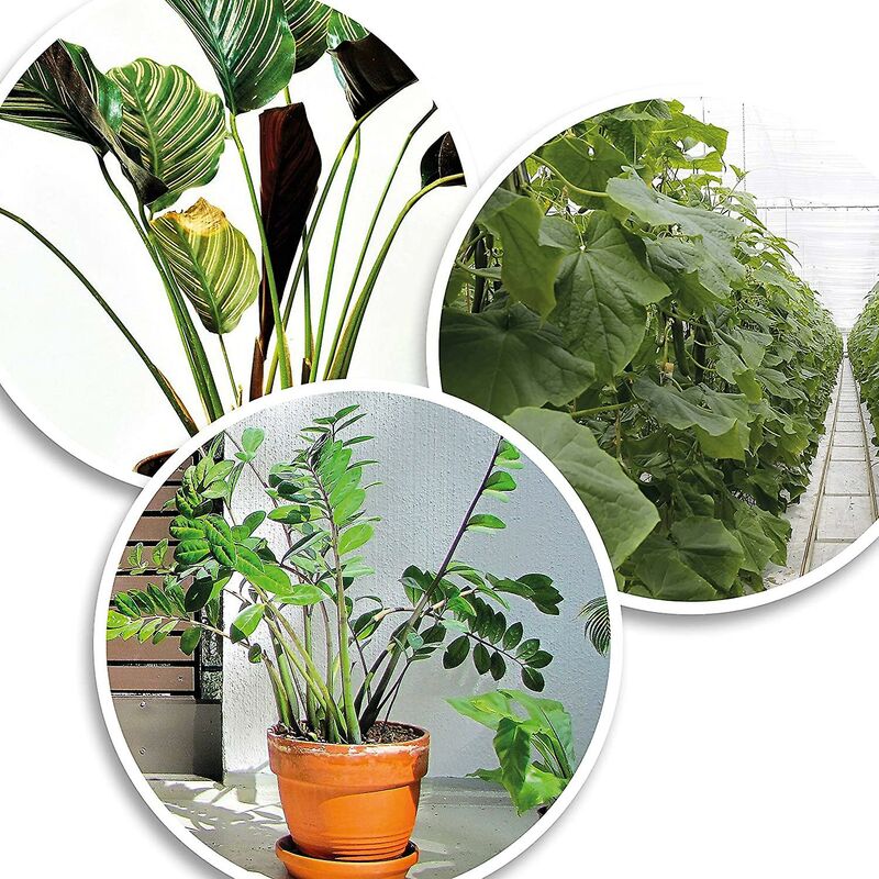 200X Green Plastic Plant Binder - Stabilize Plants - Plant Clips - Plant Stake Clip (13 Cm)