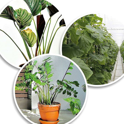 200X Green Plastic Plant Binder - Stabilize Plants - Plant Clips - Plant Stake Clip (13 Cm)