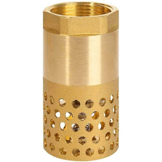 1 Inch Pump Check Valve - Foot Valve Strainer Check Valve (1 Inch).