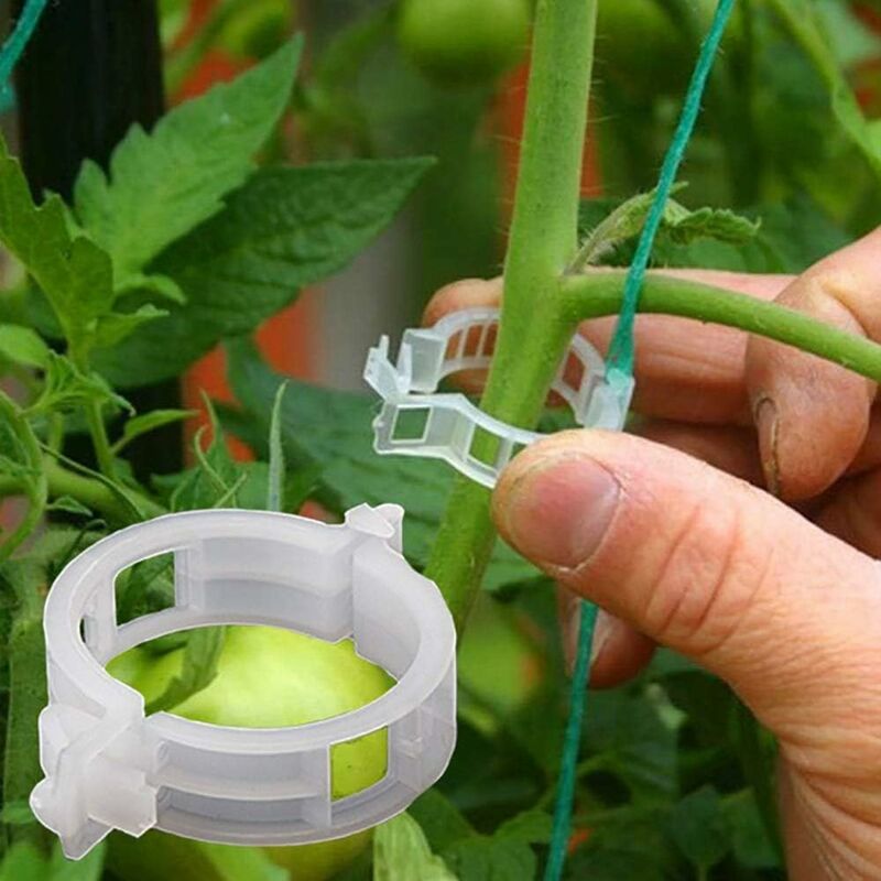 100 pcs Garden Plant Clips, Plant Ties, Vine Twine, Trellis, Vegetable Vine Cages, Grafting Tools For Growing