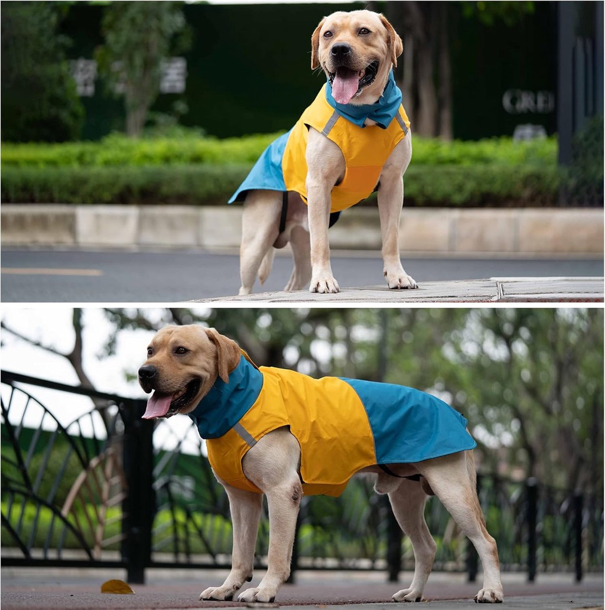 Dog Raincoat - Dog Jacket - Waterproof Winter Dog Jackets - Windproof Dog Jacket - Winter Dog Jacket - Reflective Strip - Perfect for Small Dogs - Medium-Sized Dogs - Blue and Yellow - Size S