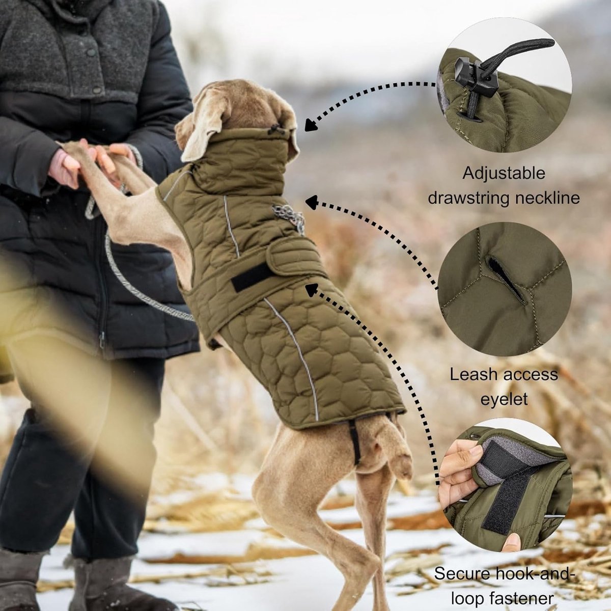 Dog Coat - Winter Dog Coat - Warm Dog Coat - Waterproof Dog Coat - Adjustable Reflective Coat - Velcro Design - Ideal for Medium-Sized Dogs - Size M - Green