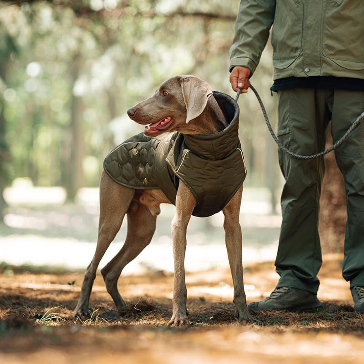 Dog Coat - Winter Dog Coat - Warm Dog Coat - Waterproof Dog Coat - Adjustable Reflective Coat - Velcro Design - Ideal for Medium-Sized Dogs - Size M - Green