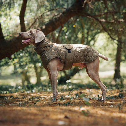 Dog Coat - Winter Dog Coat - Warm Dog Coat - Waterproof Dog Coat - Adjustable Reflective Coat - Velcro Design - Ideal for Medium-Sized Dogs - Size M - Green