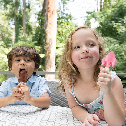 Silicone Ice Pop Mold - Set of 2 Ice Pop Molds - 12 Ice Pops - Ice Pop Molds for Kids and Adults - Ice Pop Mold Set - BPA Free