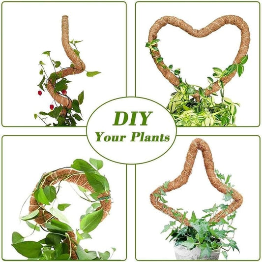 4 Bendable Moss Stakes for Climbing Plants, 100cm, Plant Support for Ivy and Monstera (4mm)