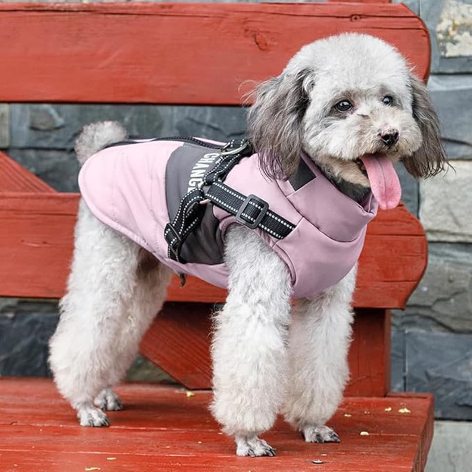 1 Dog Vest Warm Soft Winter Jacket, Wind and Waterproof, Multiple Colors, with Stand Collar, for Small Medium Large Dogs, S, Pink