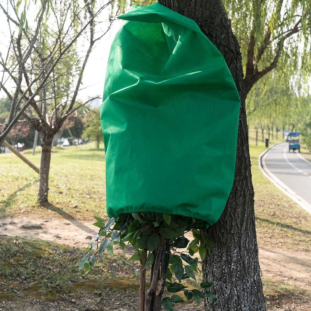 3-Pack Winter Plant Protection Frost Cover with Drawstring, Reusable Durable for Outdoor Plants Fruit Trees Potted Plants, 60x80cm, Green