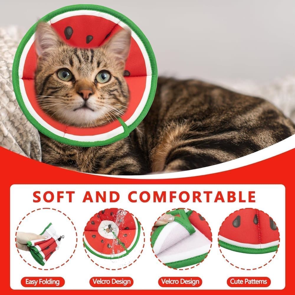1 Protective Collar for Cats and Dogs with Velcro, Adjustable Neck Collar, Compatible with Cats, M, Red