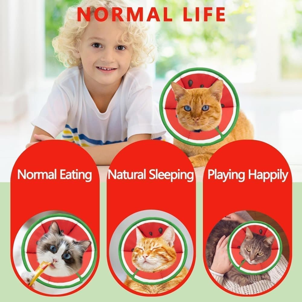 1 Protective Collar for Cats and Dogs with Velcro, Adjustable Neck Collar, Compatible with Cats, M, Red