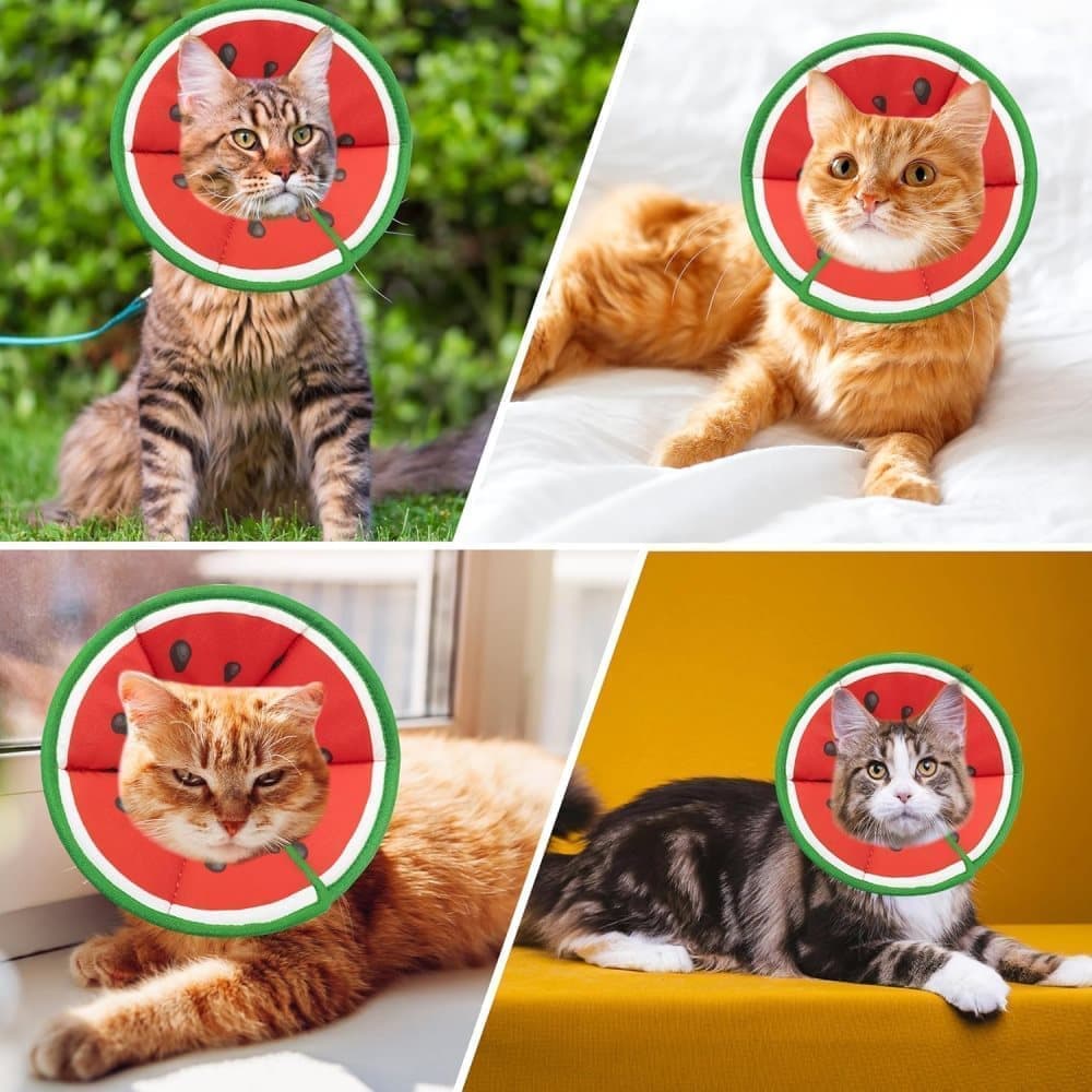 1 Protective Collar for Cats and Dogs with Velcro, Adjustable Neck Collar, Compatible with Cats, M, Red
