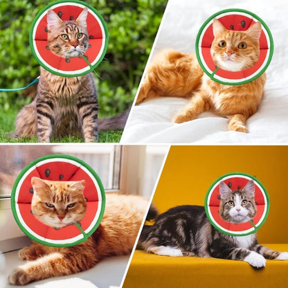 1 Protective Collar for Cats and Dogs with Velcro, Adjustable Neck Collar, Compatible with Cats, M, Red
