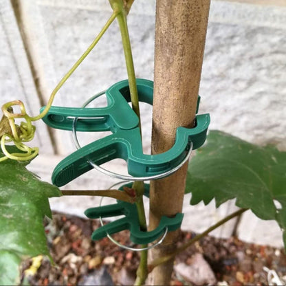 50-pack Plant Clamps for Trellis Support, 1.5 inch, 4.5cm x 6cm, Compatible with Plant Support Systems