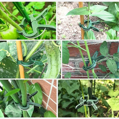 50-pack Plant Clamps for Trellis Support, 1.5 inch, 4.5cm x 6cm, Compatible with Plant Support Systems