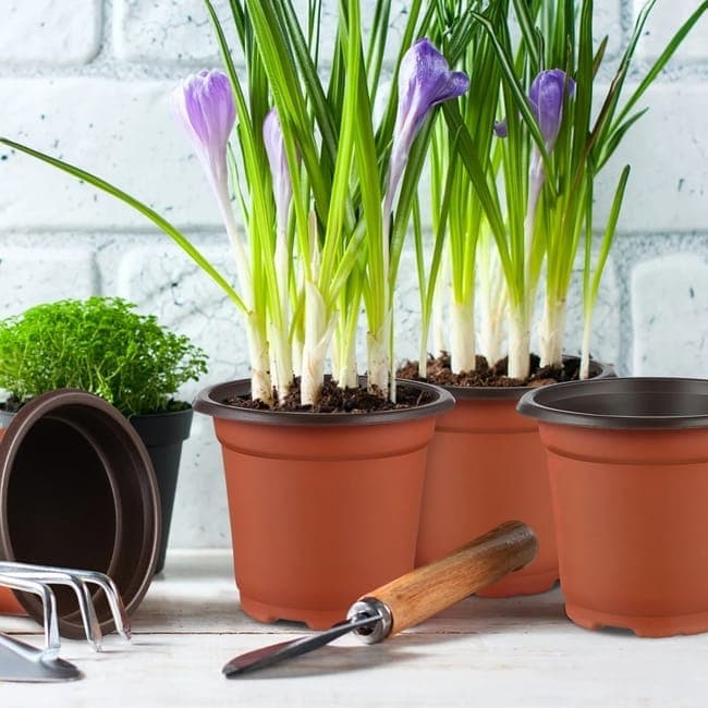 100pcs Reusable Plastic Planting Pots for Indoor and Outdoor Flower Growing, 100mm