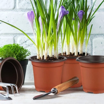 100pcs Reusable Plastic Planting Pots for Indoor and Outdoor Flower Growing, 100mm