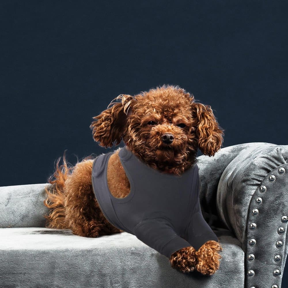 1 Pair Breathable Elastic Dog Elbow Protector for Post-Surgery, Prevents Licking and Biting, Size S Light Gray